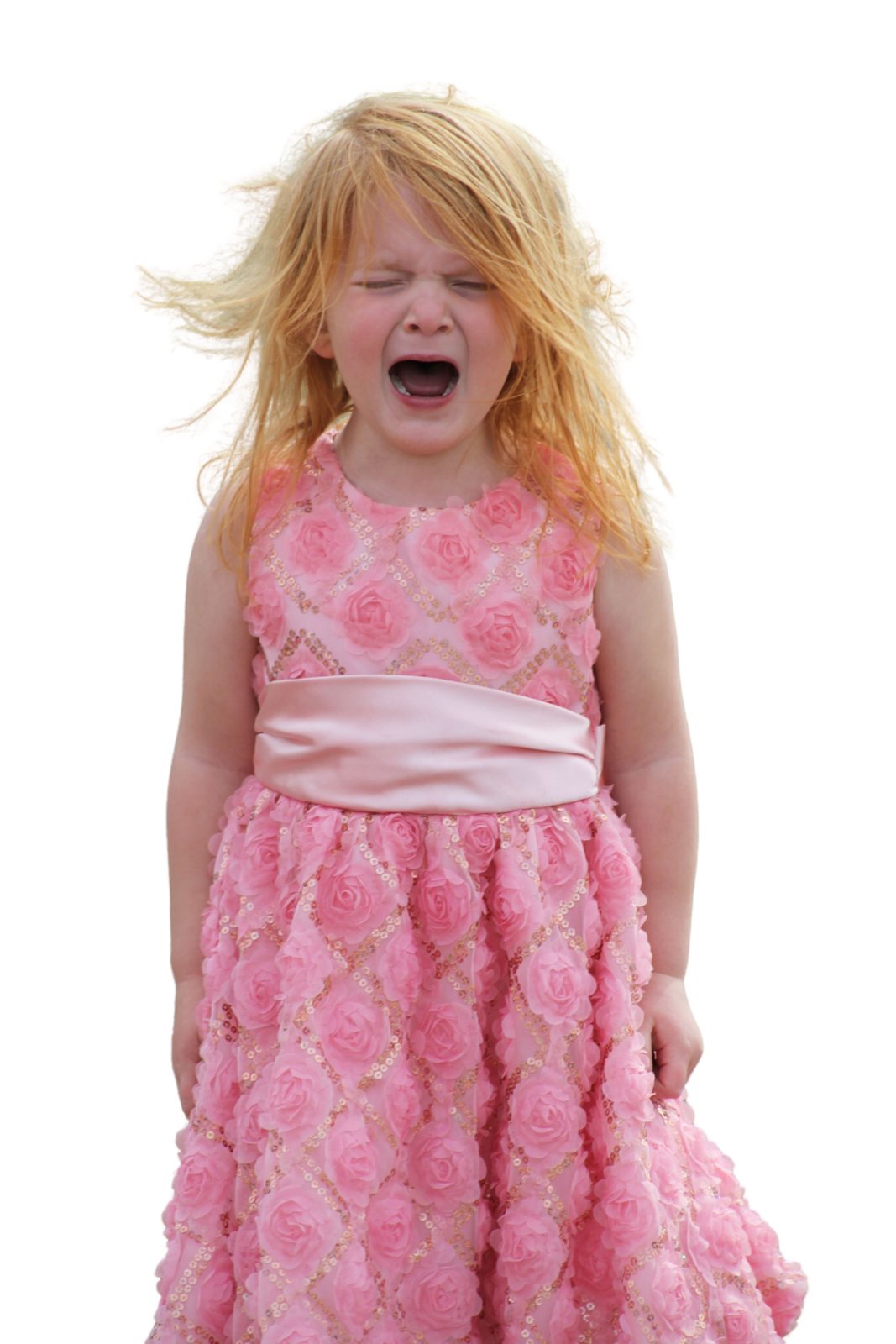 Toddler girl in a pink dress screaming during a tantrum